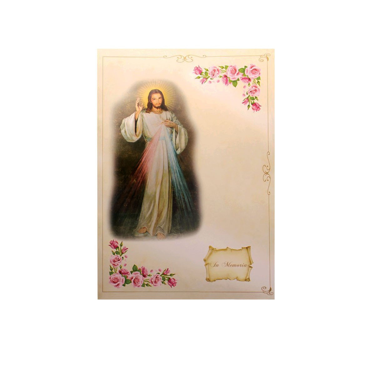 LIBRO FIRMA GESU BIANCA ECO